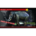 ASIA Elephant  B ( MALE VERSION)